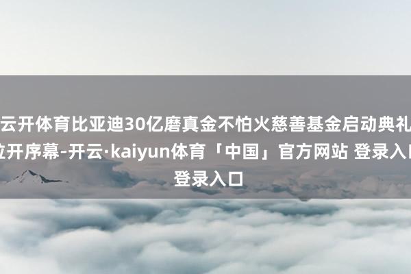 云开体育比亚迪30亿磨真金不怕火慈善基金启动典礼拉开序幕-开云·kaiyun体育「中国」官方网站 登录入口