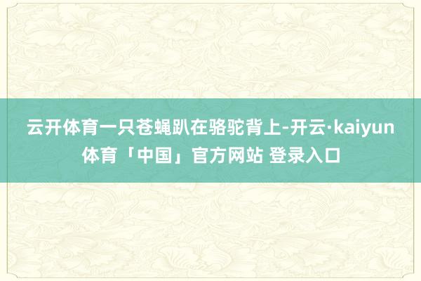 云开体育一只苍蝇趴在骆驼背上-开云·kaiyun体育「中国」官方网站 登录入口