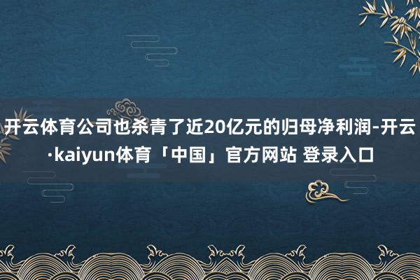 开云体育公司也杀青了近20亿元的归母净利润-开云·kaiyun体育「中国」官方网站 登录入口